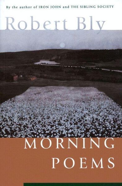Produktbild: Morning Poems