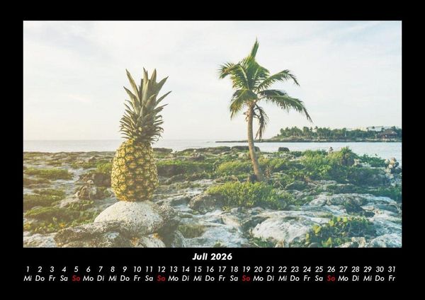 Produktbild: Palmen 2026 Fotokalender DIN A3