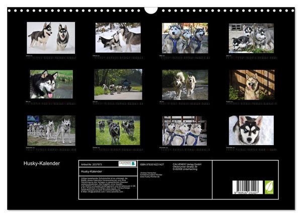 Produktbild: Husky-Kalender (Wandkalender 2026 DIN A3 quer), CALVENDO Monatskalender