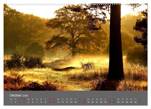 Produktbild: Wahner Heide - Aussichten und Begegnungen (Wandkalender 2026 DIN A2 quer), CALVENDO Monatskalender