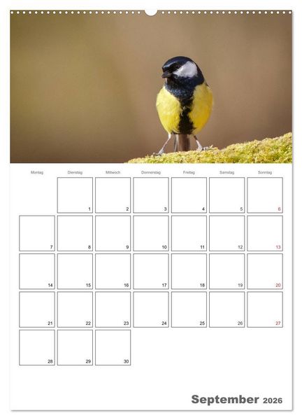 Produktbild: V&ouml;gel im heimischen Garten (hochwertiger Premium Wandkalender 2026 DIN A2 hoch), Kunstdruck in Hochglanz