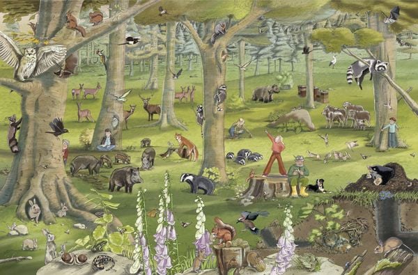 Produktbild: Tiere von nebenan
