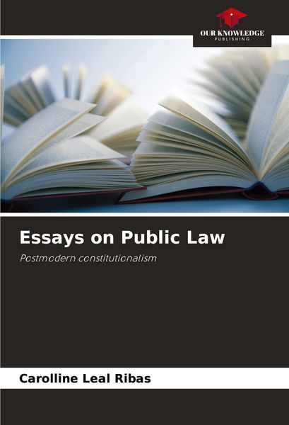 Produktbild: Essays on Public Law
