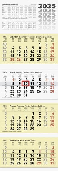 Brunnen 1070214105 4-Monatskalender (2025)| 1 Blatt = 1 Monat| 320 × 165 mm| 12 Blatt