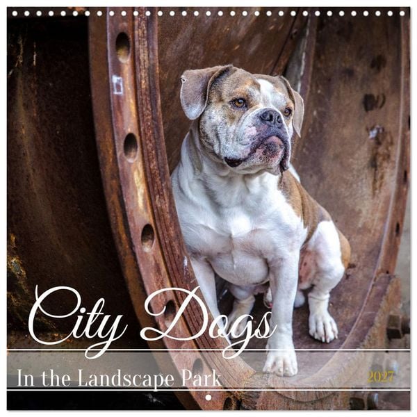 Produktbild: City dogs in the landscape park (Wall Calendar 2027 12 &times; 12 Inch) CALVENDO 12 Month Wall Calendar