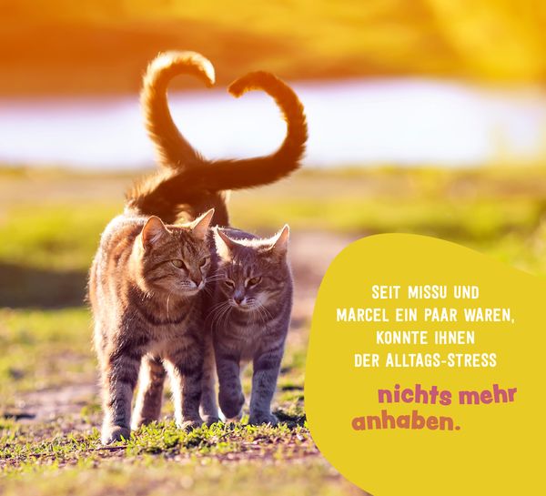 Produktbild: Tierisch gechillt!