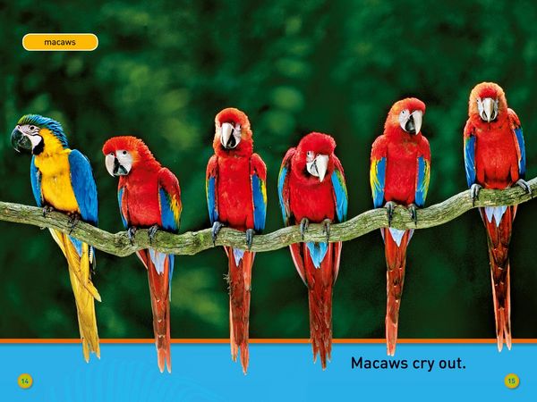 Produktbild: NAT GEO READER - SWING SLOTH