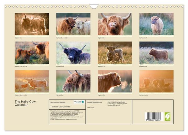 Produktbild: The Hairy Cow Calendar (Wall Calendar 2027 DIN A3 landscape), CALVENDO 12 Month Wall Calendar