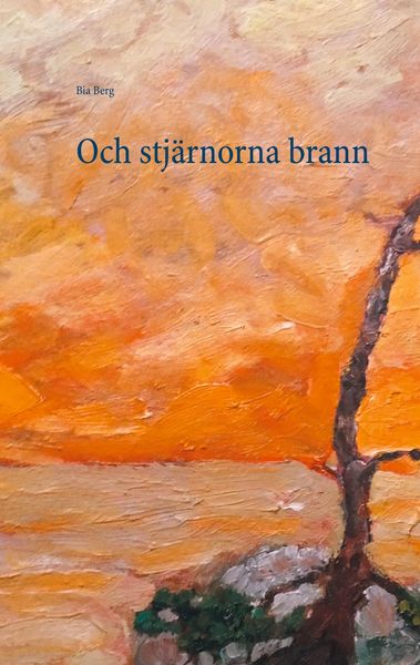 Produktbild: Och stj&auml;rnorna brann