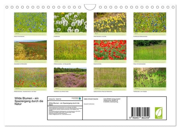 Produktbild: Wilde Blumen - ein Spaziergang durch die Natur (Wandkalender 2026 DIN A4 quer), CALVENDO Monatskalender