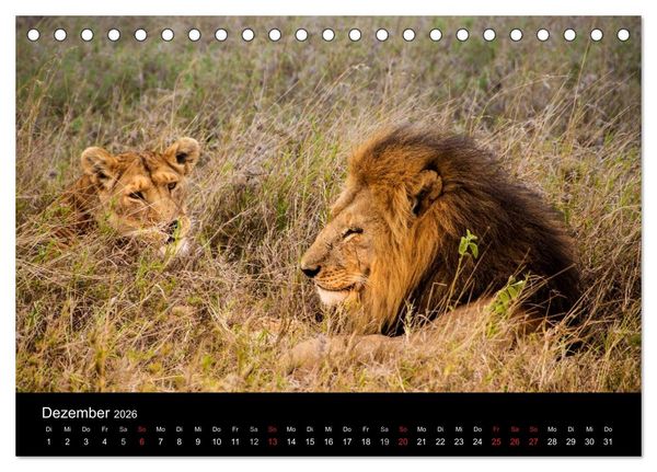 Produktbild: Wildes Afrika (Tischkalender 2026 DIN A5 quer), CALVENDO Monatskalender