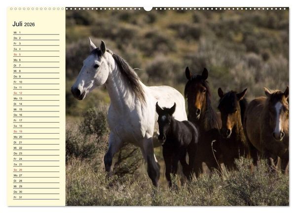Produktbild: Wilde Pferde. Mustangs in USA (hochwertiger Premium Wandkalender 2026 DIN A2 quer), Kunstdruck in Hochglanz