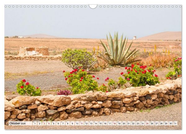 Produktbild: Fuerteventura &ndash; Von Str&auml;nden und Bergen (Wandkalender 2026 DIN A3 quer), CALVENDO Monatskalender