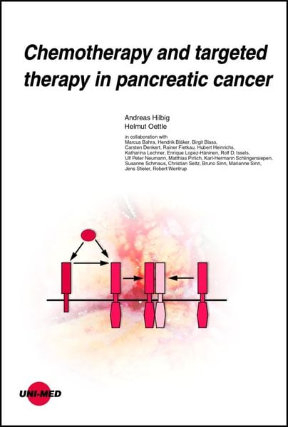 Produktbild: Chemotherapy and targeted therapy in pancreatic cancer