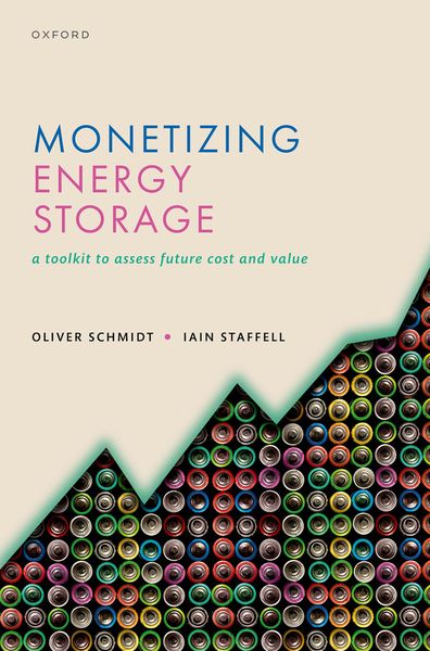 Produktbild: Monetizing Energy Storage