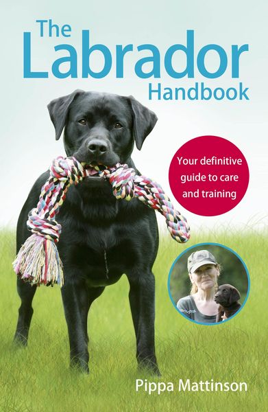 Produktbild: The Labrador Handbook