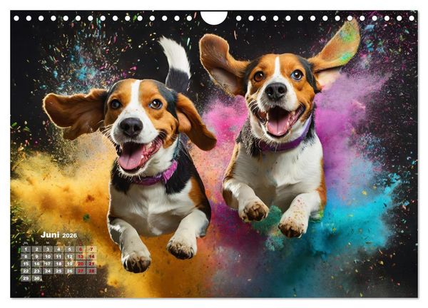 Produktbild: Holi Pulver - Doppelte Action (Wandkalender 2026 DIN A4 quer), CALVENDO Monatskalender