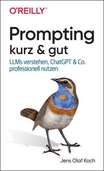 Produktbild: Prompting kurz & gut