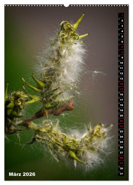 Produktbild: B&auml;ume anders gesehen (Wandkalender 2026 DIN A2 hoch), CALVENDO Monatskalender