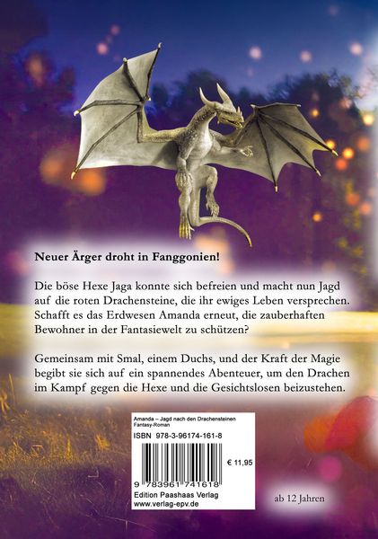 Produktbild: Amanda &ndash; Jagd nach den Drachensteinen