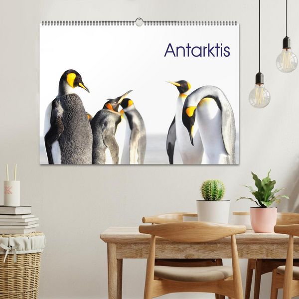 Produktbild: Antarktis - viaje.ch (Wandkalender 2026 DIN A2 quer), CALVENDO Monatskalender