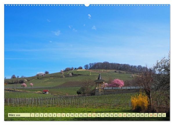 Produktbild: Weinregion Bergstra&szlig;e Burgen, Wein und Mandelbl&uuml;te (Wandkalender 2026 DIN A2 quer), CALVENDO Monatskalender