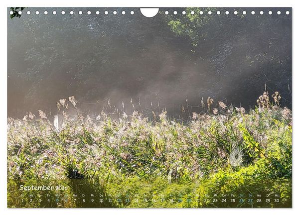 Produktbild: Moortr&auml;ume - Natursch&ouml;nheit in Bildern (Wandkalender 2026 DIN A4 quer), CALVENDO Monatskalender