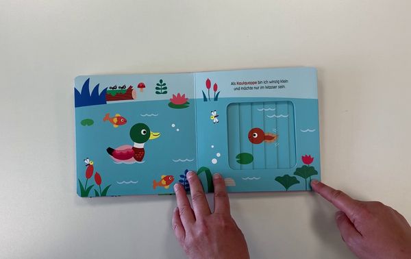 Produktbild: Wenn ich gross bin, seh ich anders aus - Bl&auml;tter um und find&acute;s heraus!
