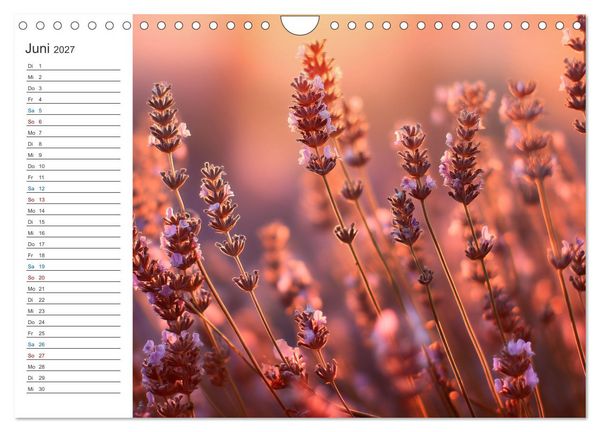 Produktbild: Ein Hauch von S&uuml;den (Wandkalender 2027 DIN A4 quer), CALVENDO Monatskalender