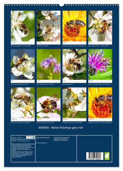 Produktbild: BIENEN - Kleine N&uuml;tzlinge ganz nah (hochwertiger Premium Wandkalender 2026 DIN A2 hoch), Kunstdruck in Hochglanz