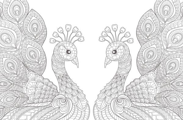 Produktbild: Colorful Mandala &ndash; Tierisch verliebt