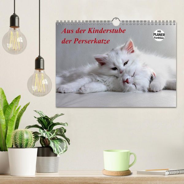 Produktbild: Aus der Kinderstube der Perserkatze (Wandkalender 2026 DIN A4 quer), CALVENDO Monatskalender