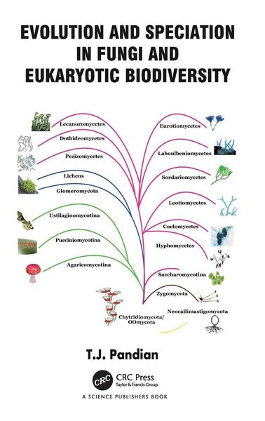 Produktbild: Evolution and Speciation in Fungi and Eukaryotic Biodiversity