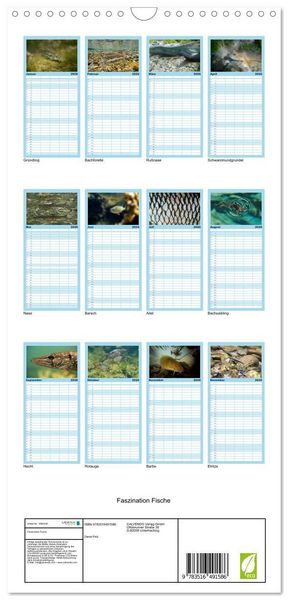 Produktbild: Familienplaner 2026 - Faszination Fische mit 5 Spalten (Wandkalender, 21 x 45 cm) CALVENDO