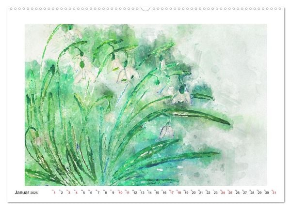 Produktbild: Bl&uuml;ten & Blumen Aquarelle - Farbenfrohe Sch&ouml;nheiten (Wandkalender 2026 DIN A2 quer), CALVENDO Monatskalender