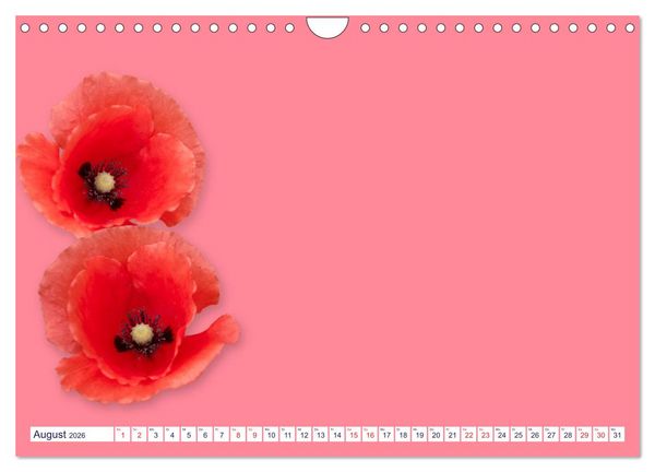 Produktbild: DIY POESIE - BASTELKALENDER (Wandkalender 2026 DIN A4 quer), CALVENDO Monatskalender