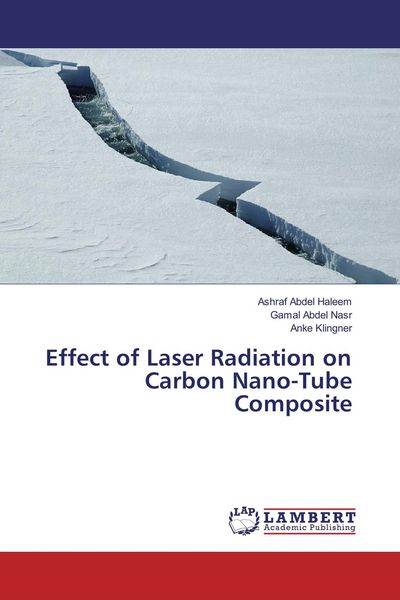 Produktbild: Effect of Laser Radiation on Carbon Nano-Tube Composite