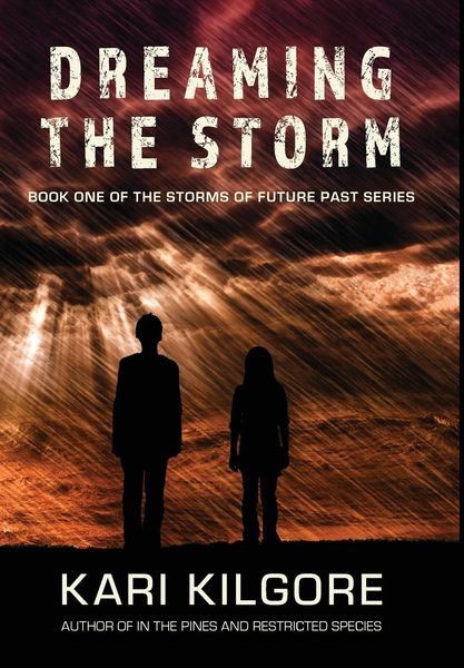 Produktbild: Dreaming the Storm