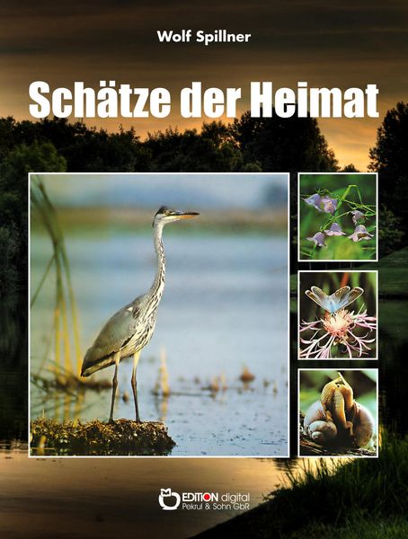 Produktbild: Sch&auml;tze der Heimat