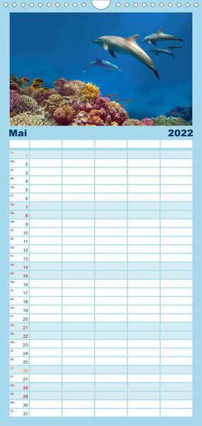 Produktbild: Riffleben - Einfach mal abtauchen - Familienplaner hoch (Wandkalender 2022 , 21 cm x 45 cm, hoch)