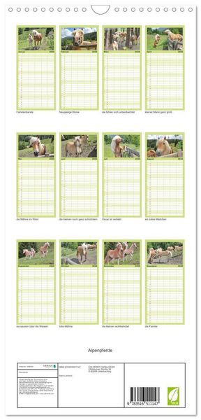 Produktbild: Familienplaner 2026 - Alpenpferde mit 5 Spalten (Wandkalender, 21 x 45 cm) CALVENDO