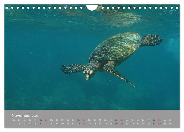 Produktbild: Seychellen (Wandkalender 2027 DIN A4 quer), CALVENDO Monatskalender