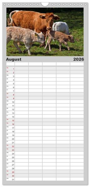 Produktbild: Familienplaner 2026 - Kuh und Co. mit 5 Spalten (Wandkalender, 21 x 45 cm) CALVENDO