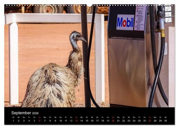 Produktbild: Australien 2026 Natur und Kultur (Wandkalender 2026 DIN A2 quer), CALVENDO Monatskalender