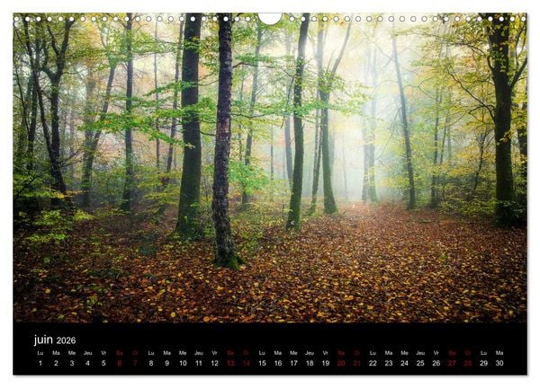 Produktbild: Lumi&egrave;res de Broc&eacute;liande (Calendrier mural 2026 DIN A3 vertical), CALVENDO calendrier mensuel