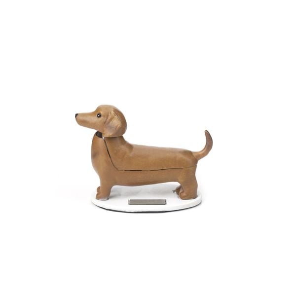 Solar Dashund - Boudewijn