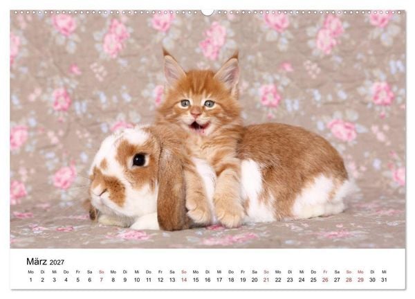 Produktbild: lach mit...just smile (hochwertiger Premium Wandkalender 2027 DIN A2 quer), Kunstdruck in Hochglanz