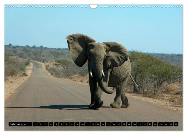 Produktbild: S&uuml;dafrika (Wandkalender 2026 DIN A3 quer), CALVENDO Monatskalender