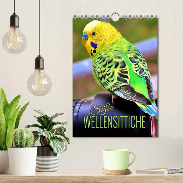 Produktbild: S&uuml;&szlig;e Wellensittiche (Wandkalender 2026 DIN A4 hoch), CALVENDO Monatskalender