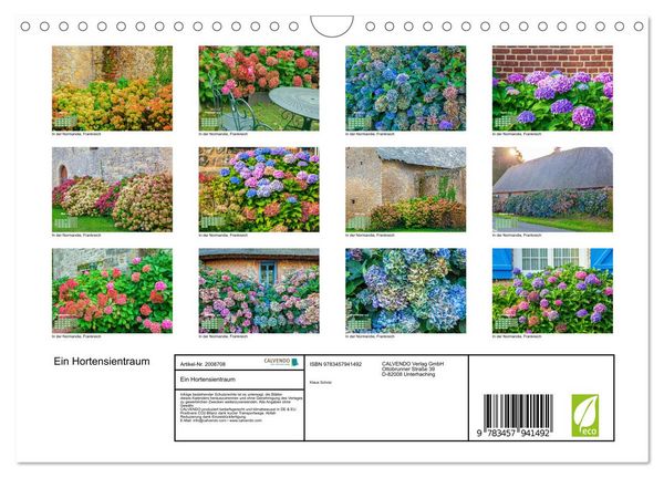 Produktbild: Ein Hortensientraum (Wandkalender 2026 DIN A4 quer), CALVENDO Monatskalender